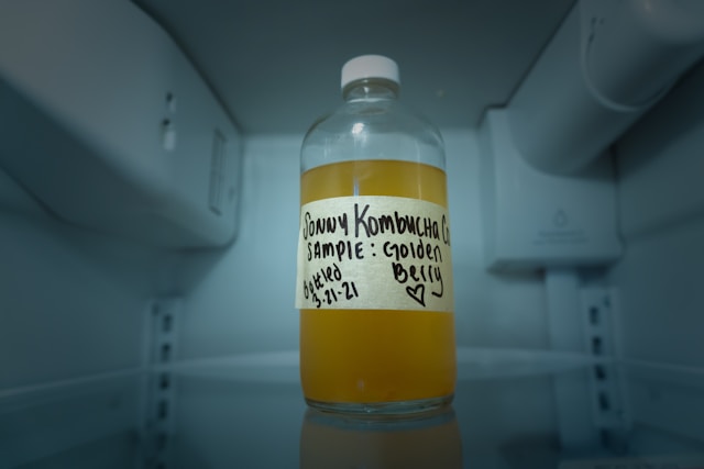 kombucha