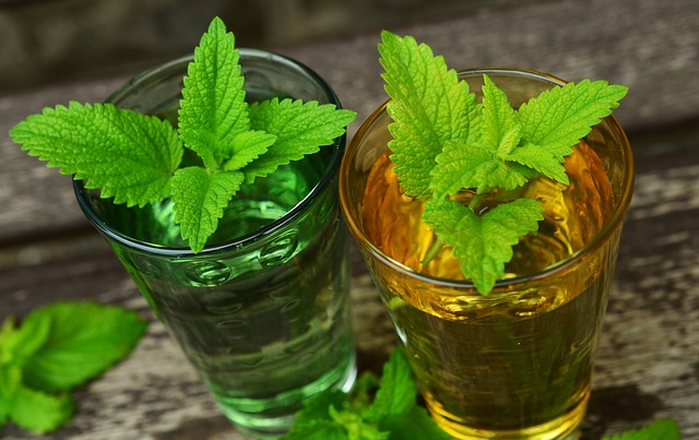 limonáda