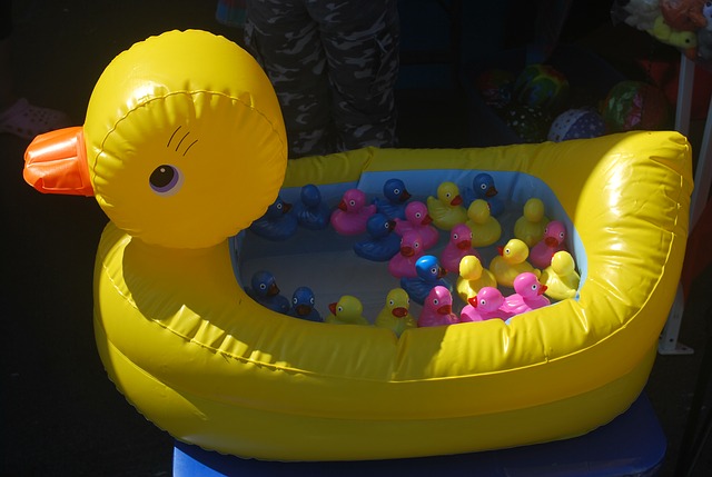 duck